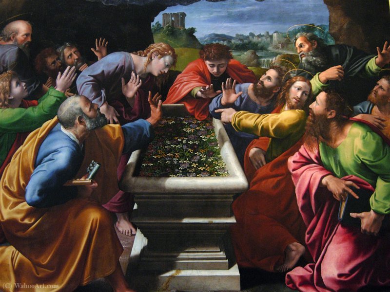 Pinacoteca — Giovan Francesco Penni