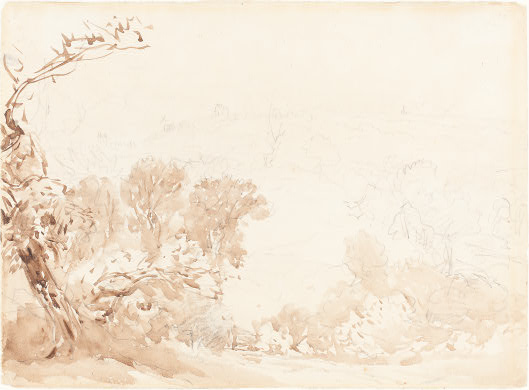 Hillside And Trees — David Cox