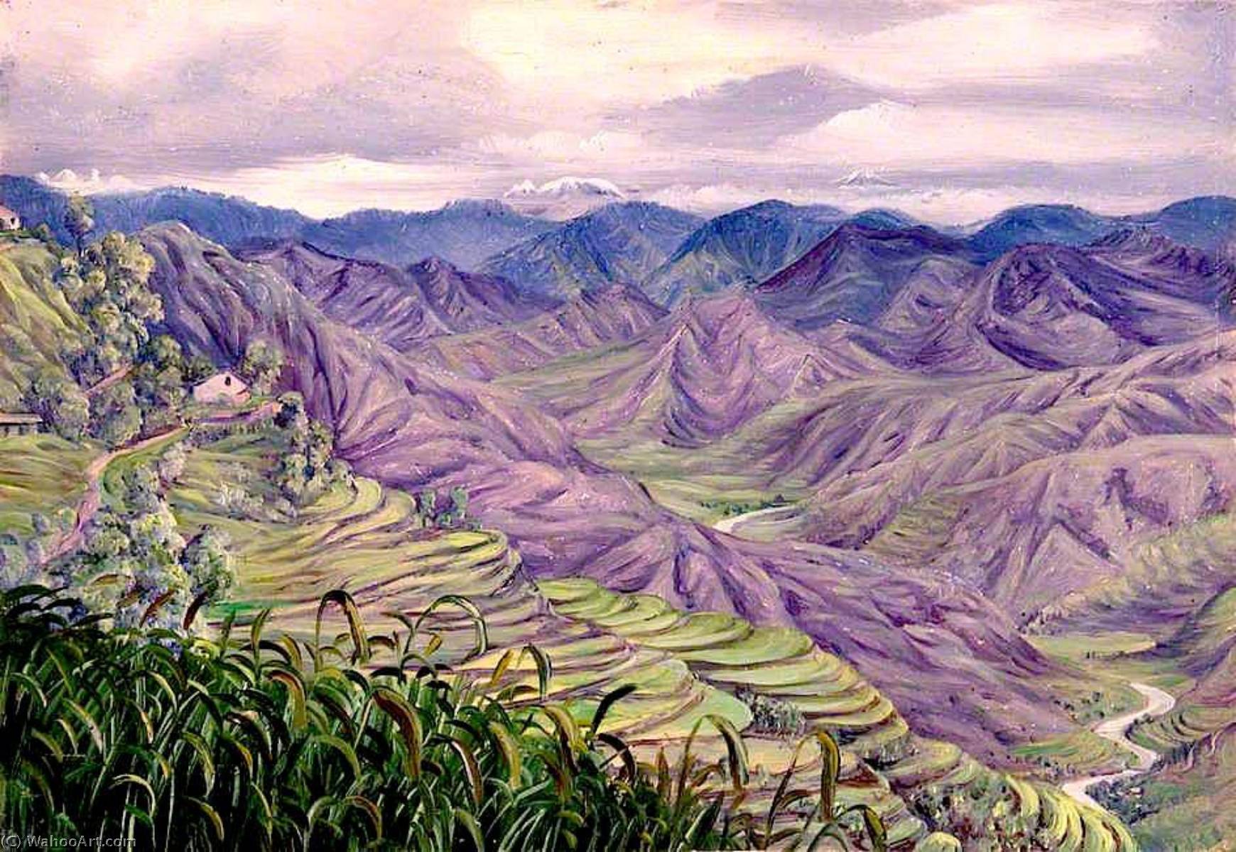 From Almorah, Kumaon, India — Marianne North