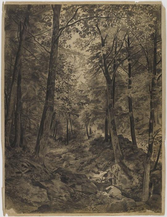 Forest Scene With Rocky Brook — William Trost Richards