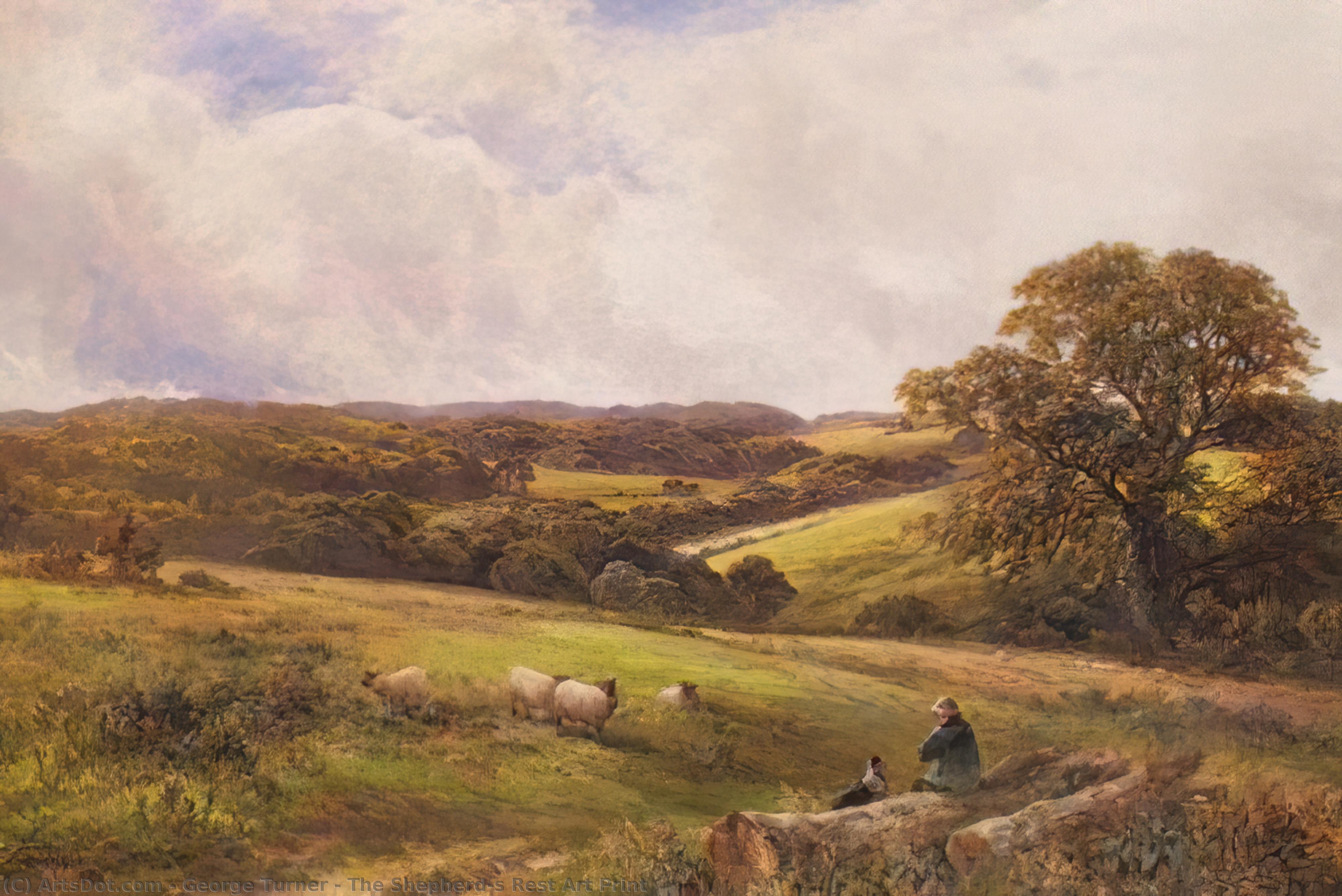 The Shepherd's Rest Art Print — George Turner