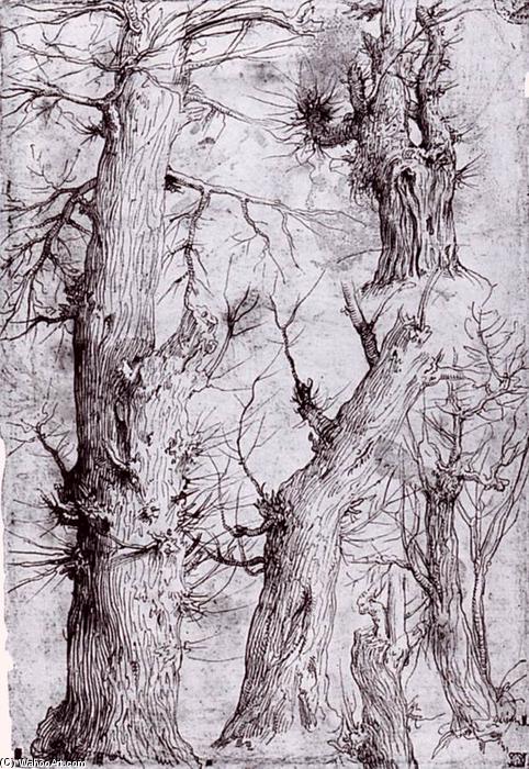 Studies Of Trees — Aurelio Luini