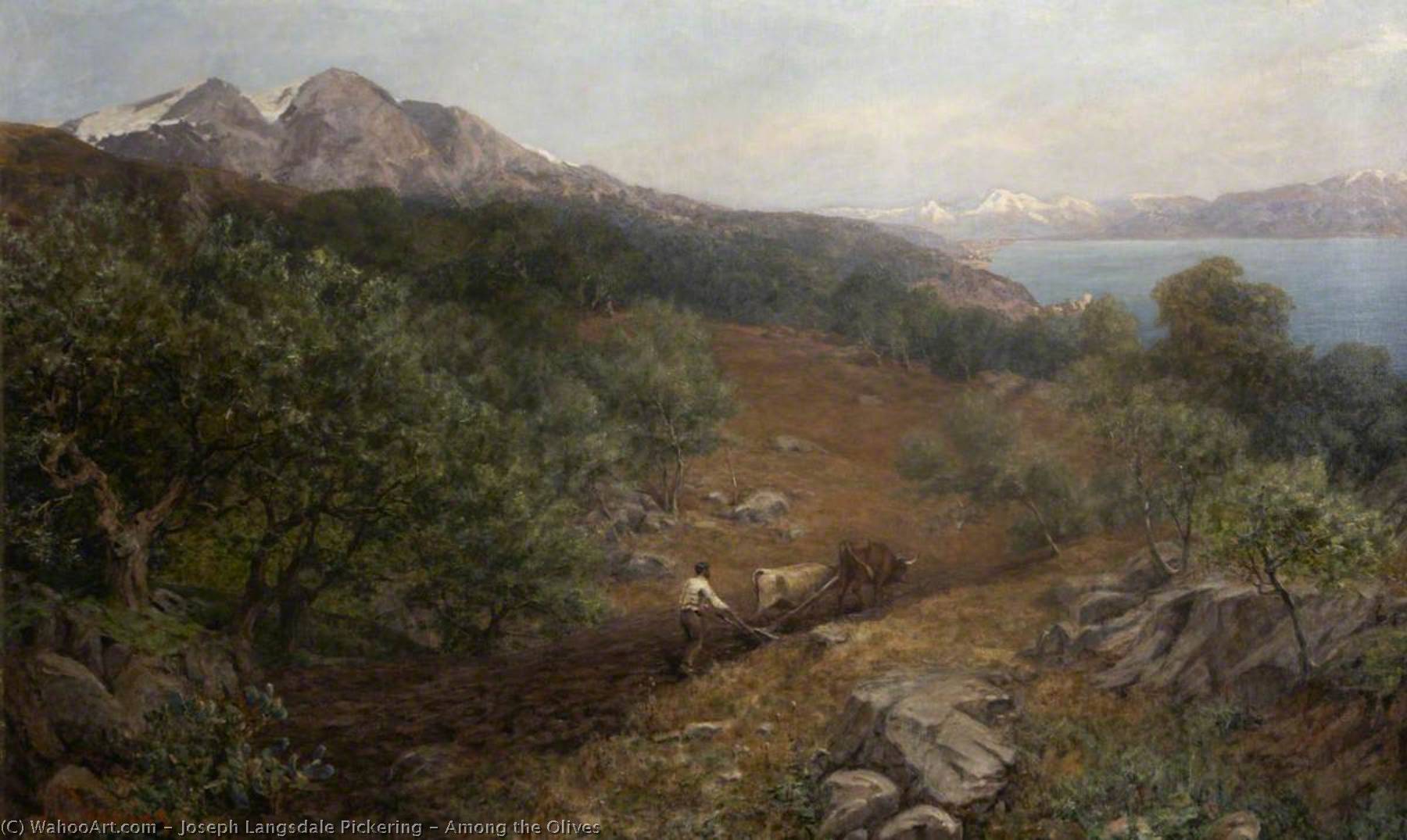 Among The Olives — Joseph Langsdale Pickering