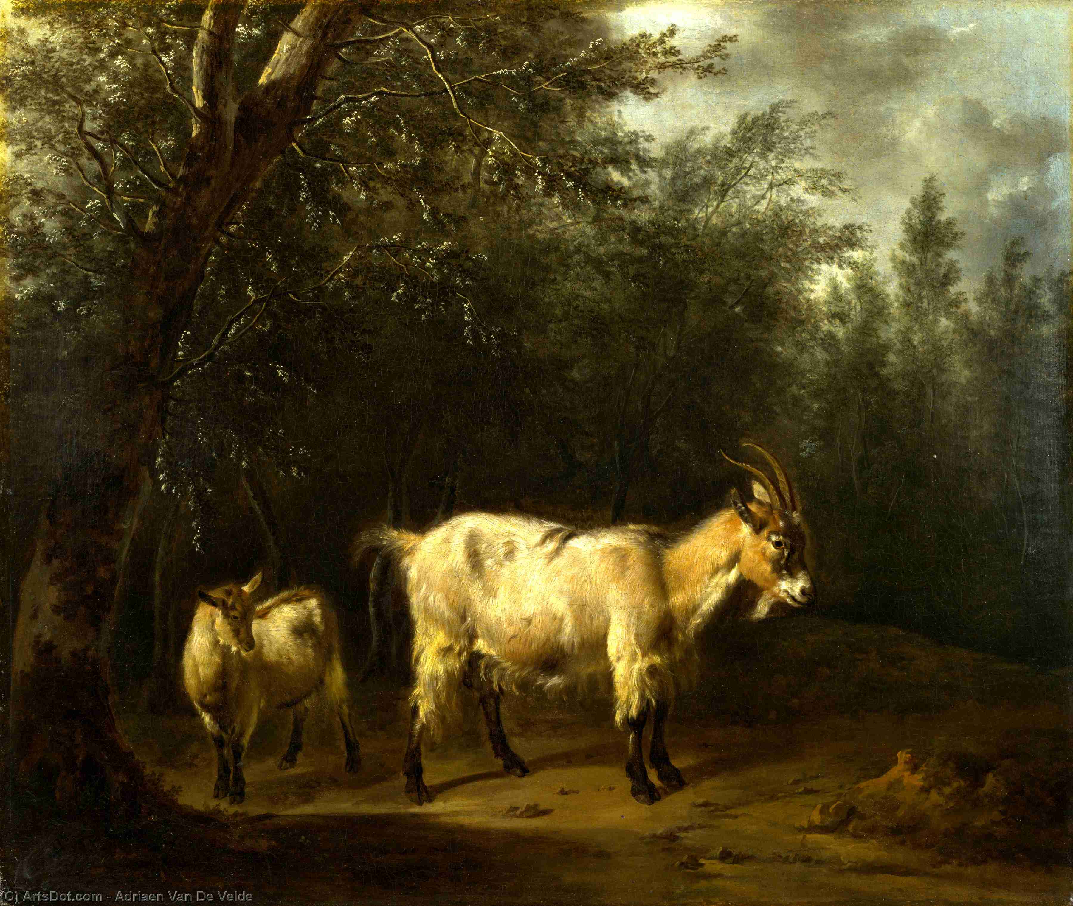 A Goat And A Kid — Adriaen Van De Velde