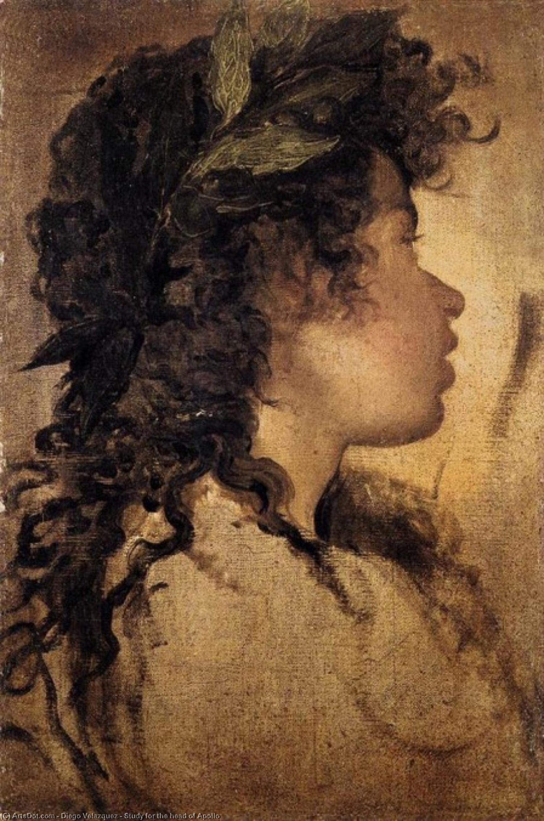 Study For The Head Of Apollo — Diego Velázquez