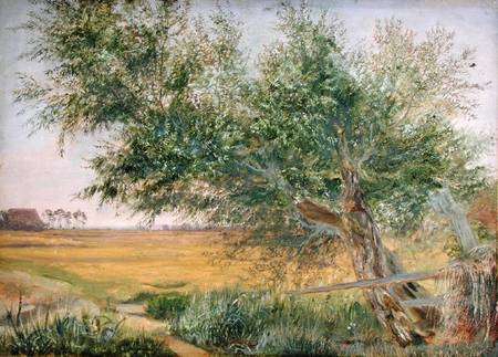 The Old Tree — Jacob Gensler