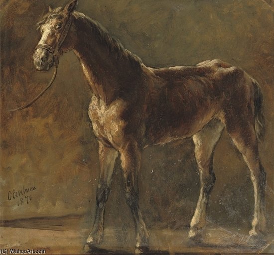 A Brown Foal — Otto Eerelman
