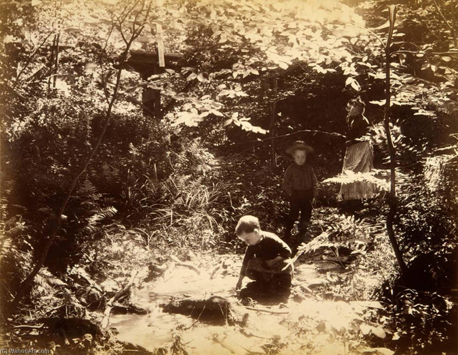 Scene In Fairy Dell, From The Album Views Of Charlestown, New Hampshire — Gotthelf Pach