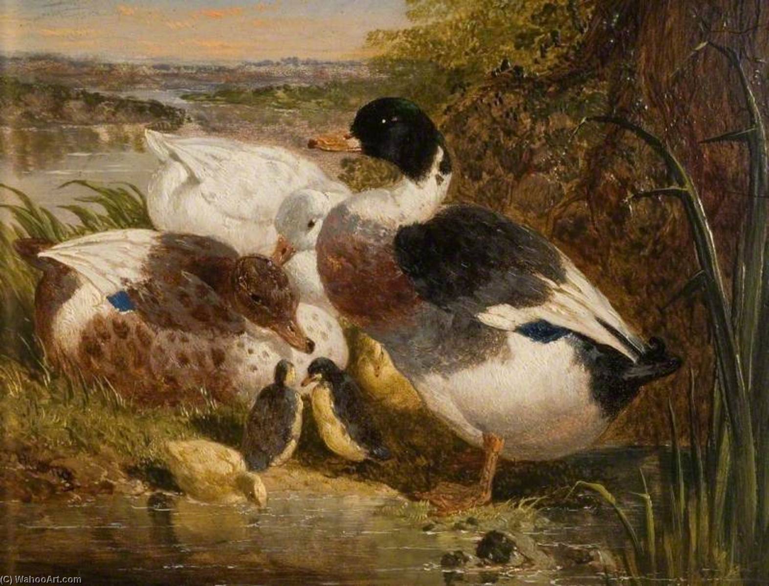 Ducks And Ducklings In A Landscape — John Frederick Herring Ii