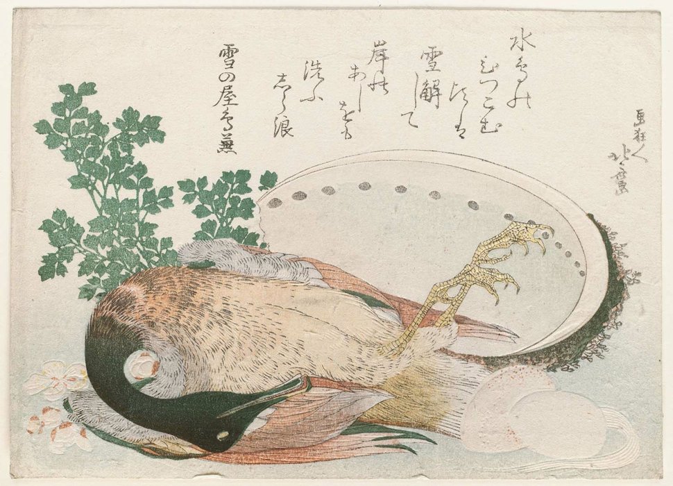 Dead Mallard, Abalone Shell, And Stew Ingredients — Katsushika Hokusai