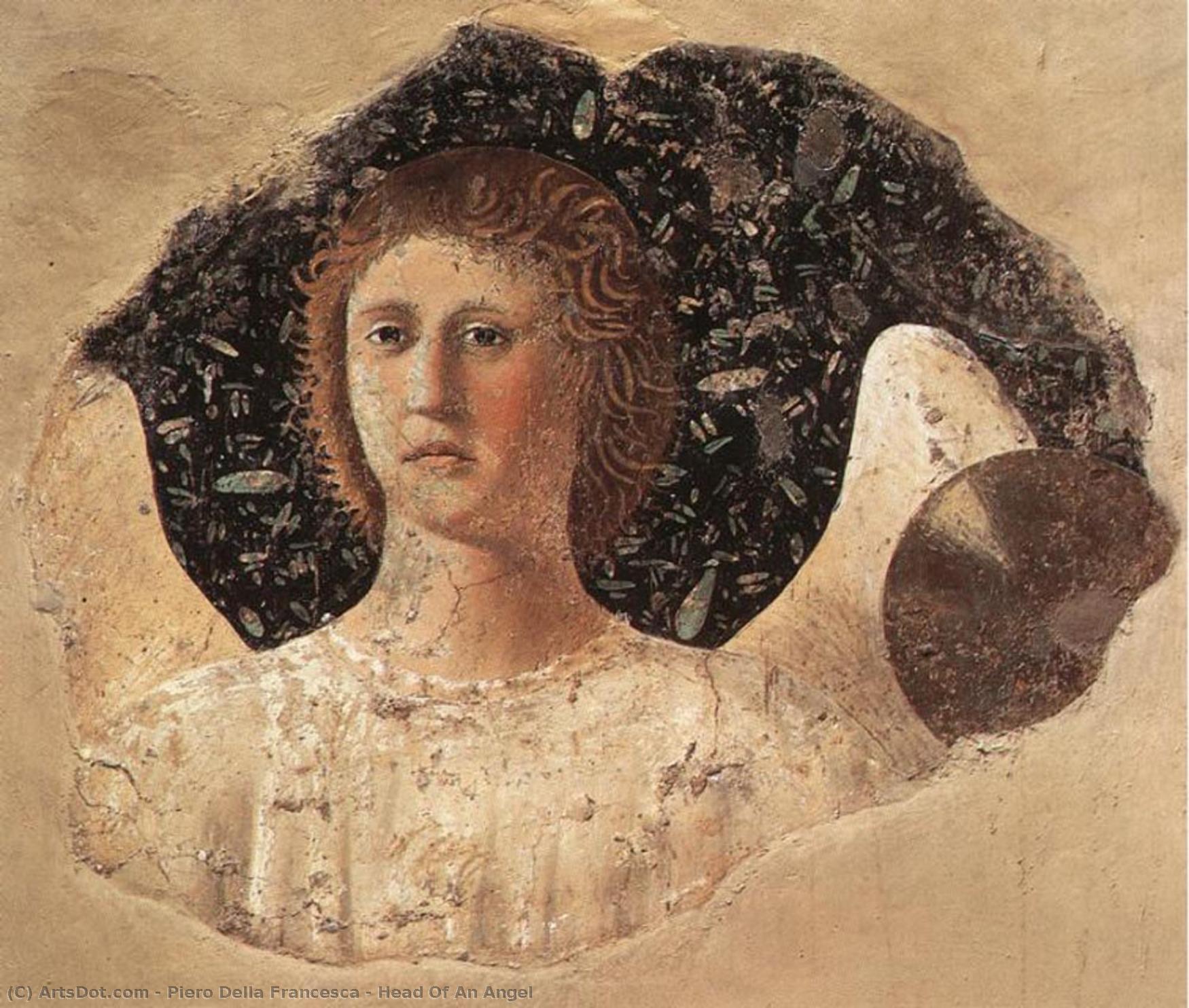 Head Of An Angel — Piero Della Francesca
