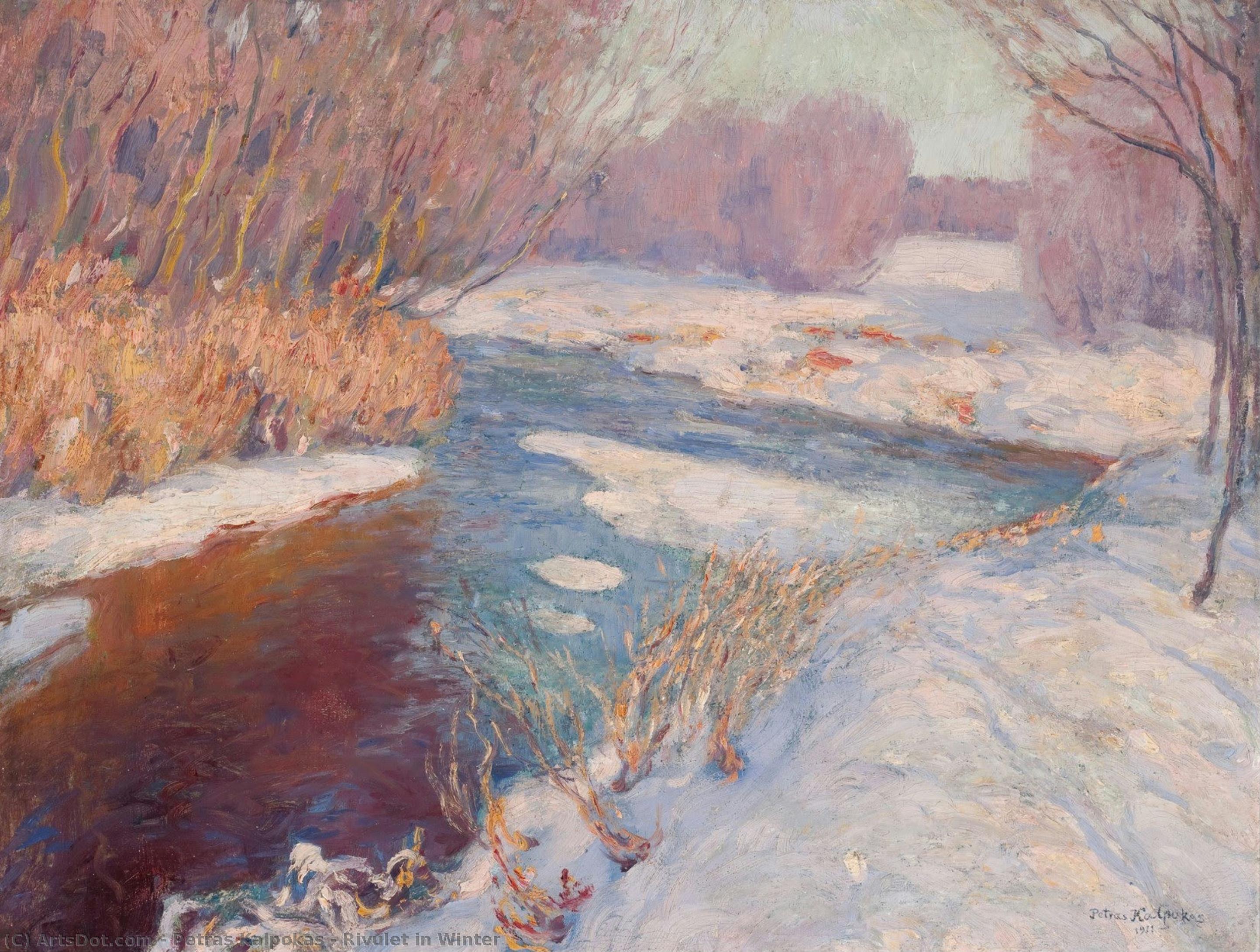 Rivulet In Winter — Petras Kalpokas