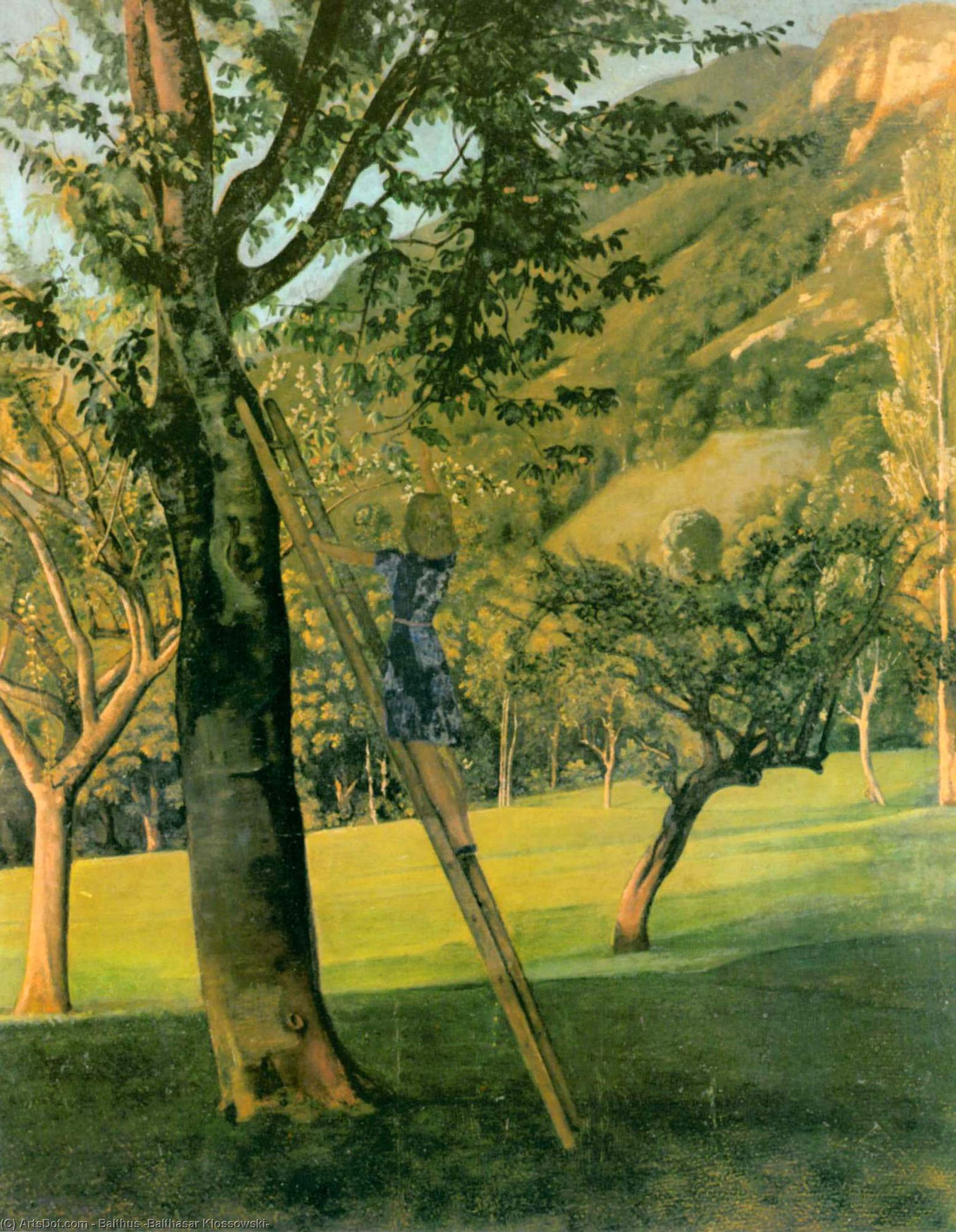 The Cherry Tree — Balthus