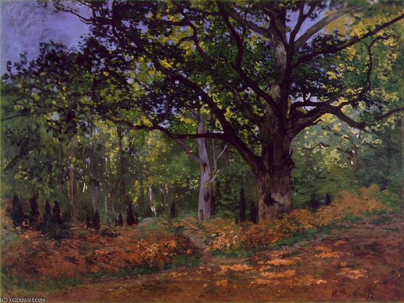 The Bodmer Oak, Fontainebleau Forest - 96.2x129.2 - — Claude Monet