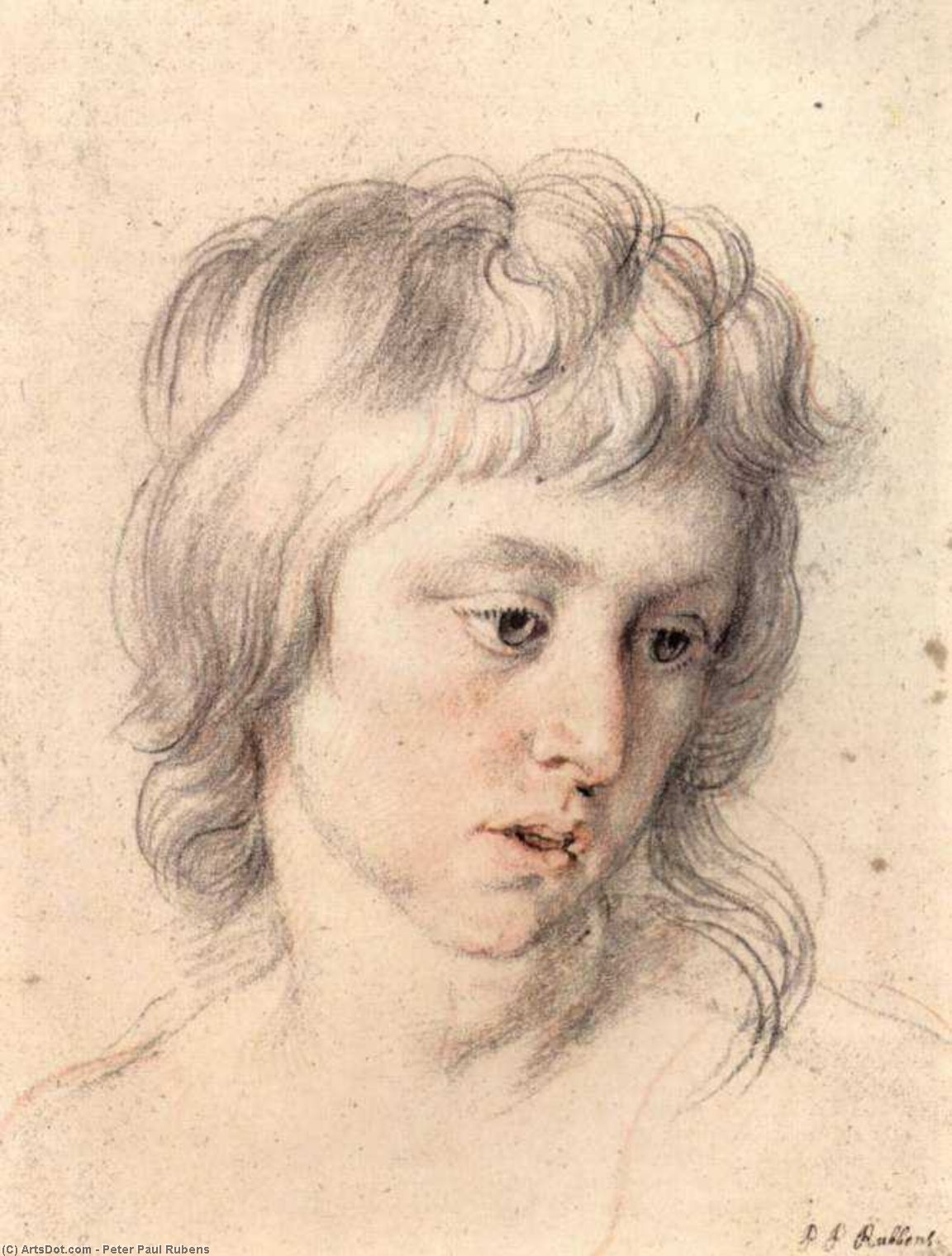 Portrait Of Boy — Peter Paul Rubens