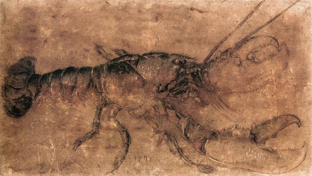 Lobster — Albrecht Dürer