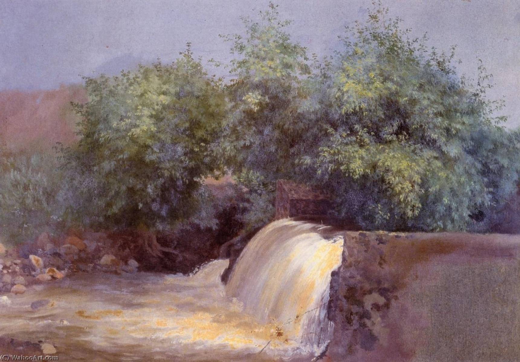 Estudio De Cascada — José María Velasco