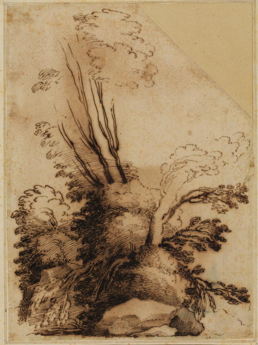 Tree — Guercino