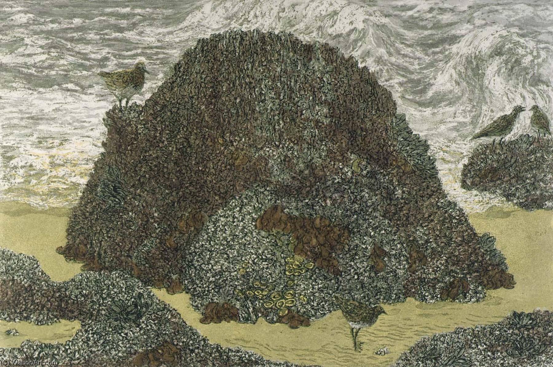 Tidal Rocks — Janet E Turner