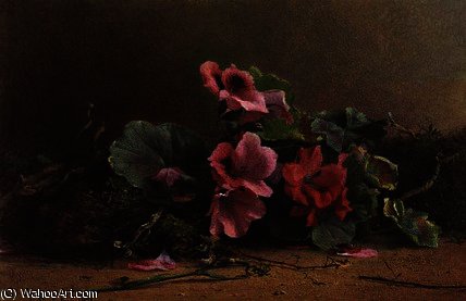 A Study Of Geraniums — Hector Caffieri