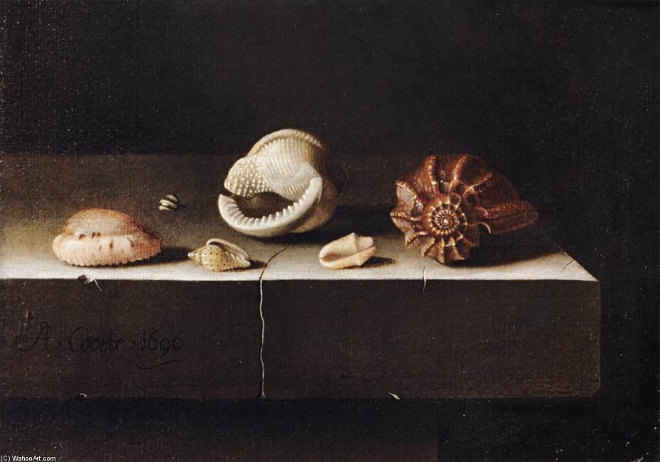 Five Shells On A Slab Of Stone — Adriaen Coorte