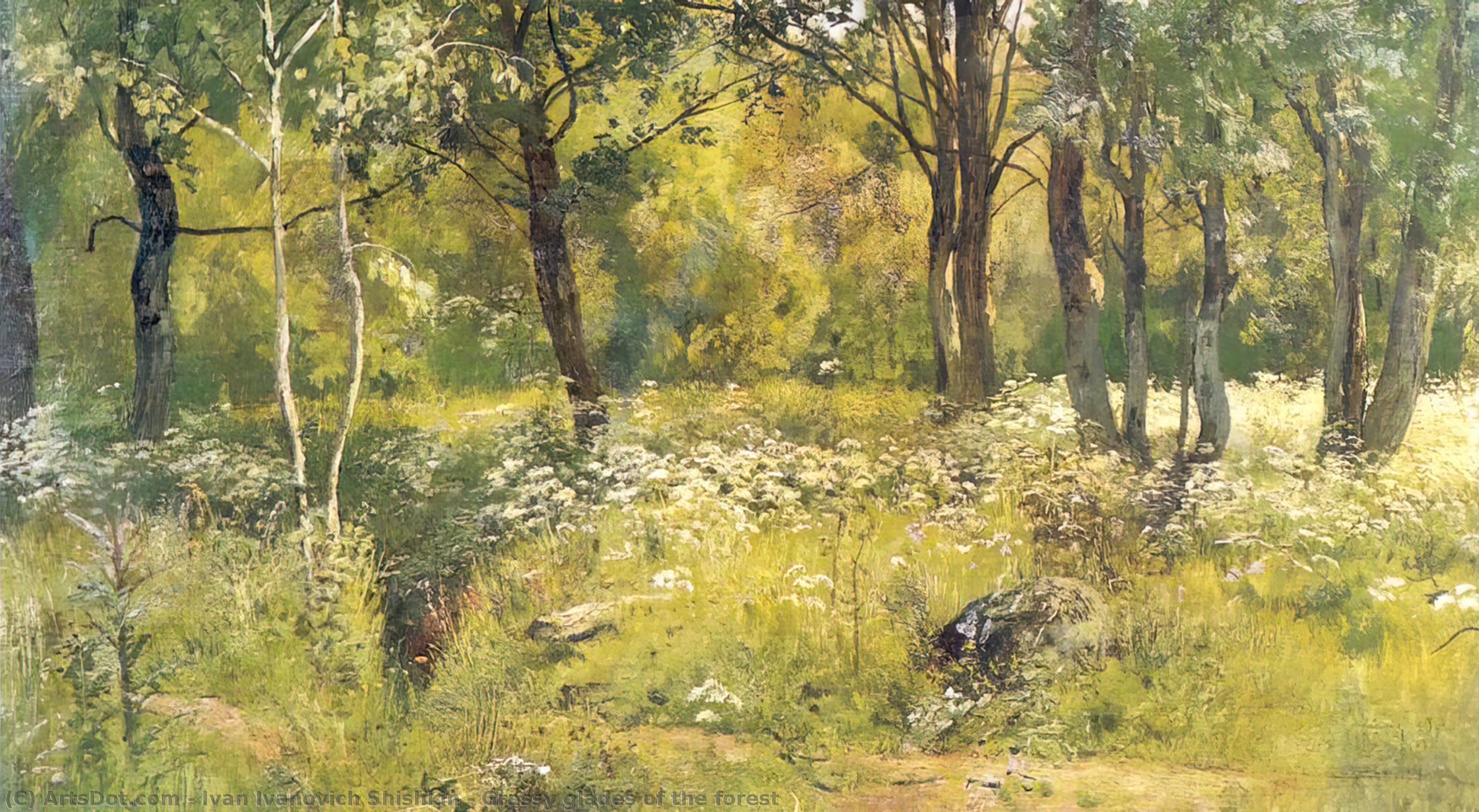Grassy Glades Of The Forest — Ivan Ivanovich Shishkin