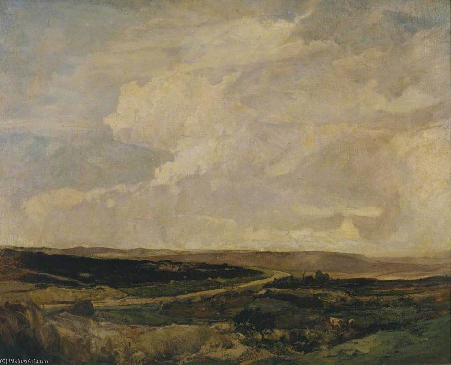 Shap Moors — Oliver Hall