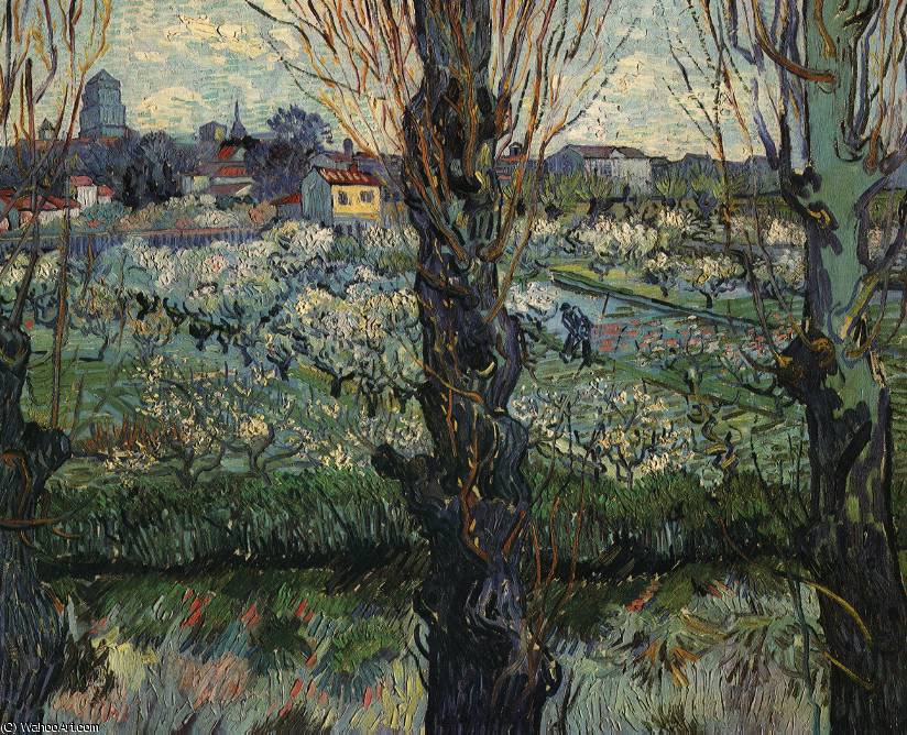 Orchard Bloom Poplars — Vincent Willem Van Gogh