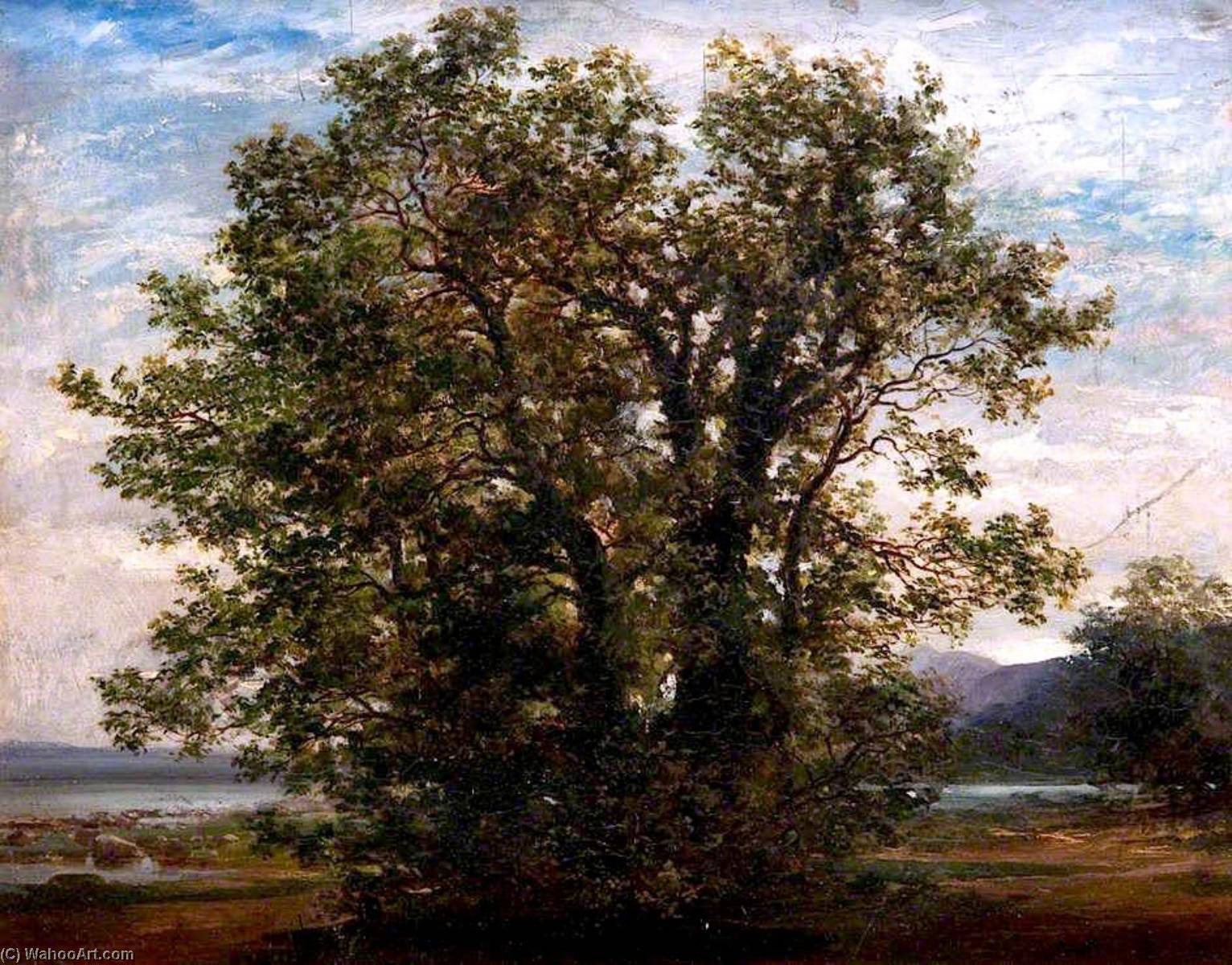 Landscape — John Milne Donald