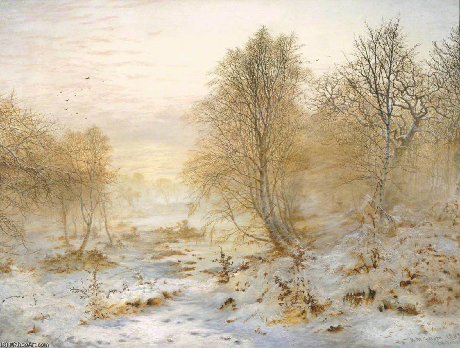 Silvery Moments, Burnham Beeches — Andrew Mccallum
