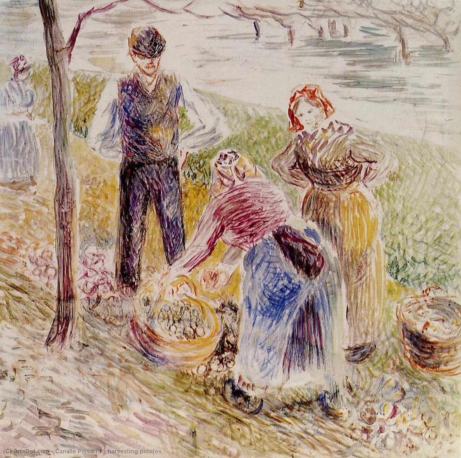 Harvesting Potatos. — Camille Pissarro