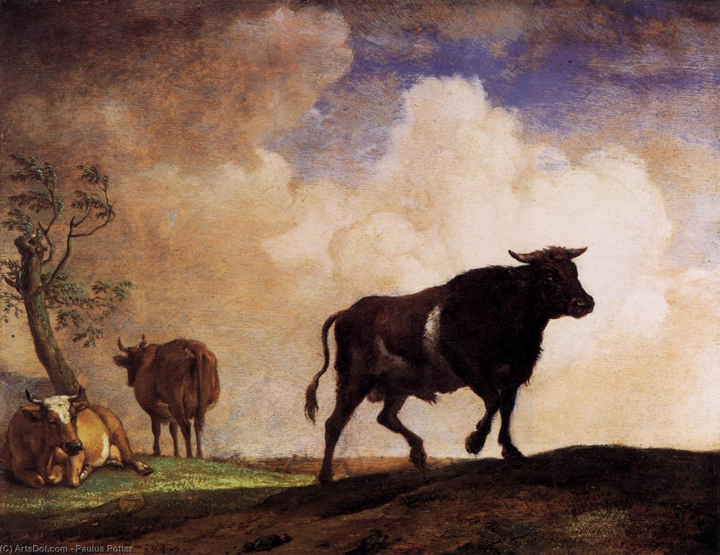 The Bull — Paulus Potter