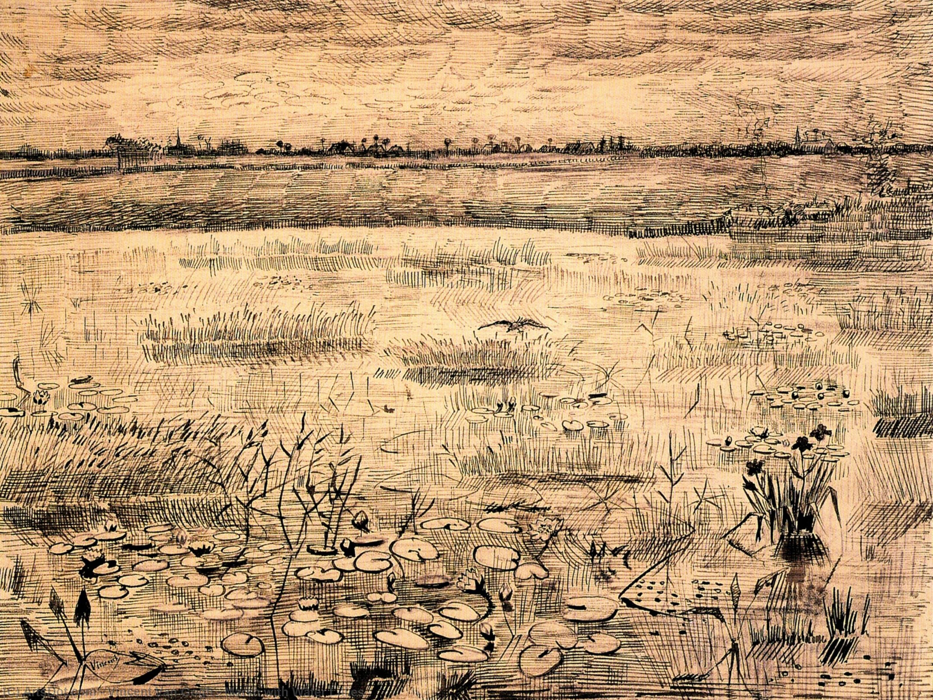 Marsh With Water Lillies — Vincent Willem Van Gogh