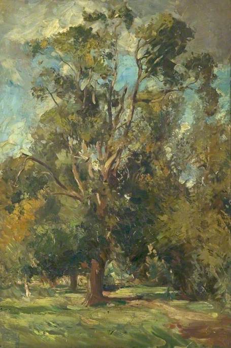 Trees — William Bruce Ellis Ranken