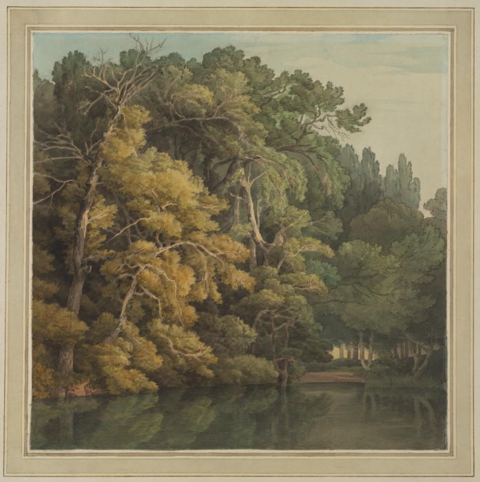 Trees In Peamore Park, Exeter — John White Abbott