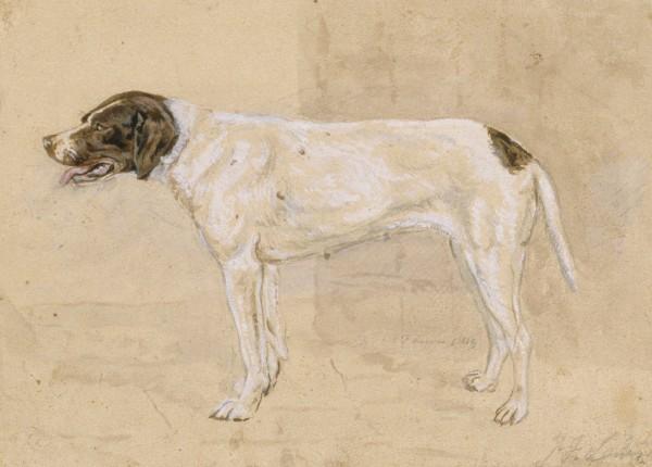 Juno The Dog — John Frederick Lewis