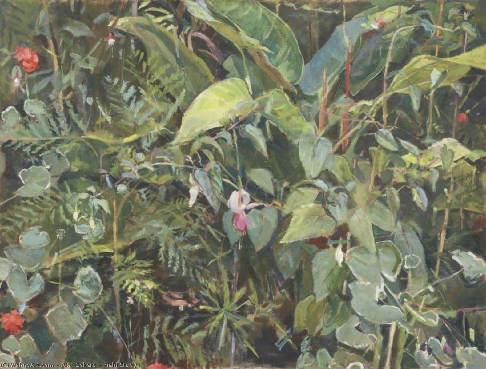 Field Study I — Alan Sekers