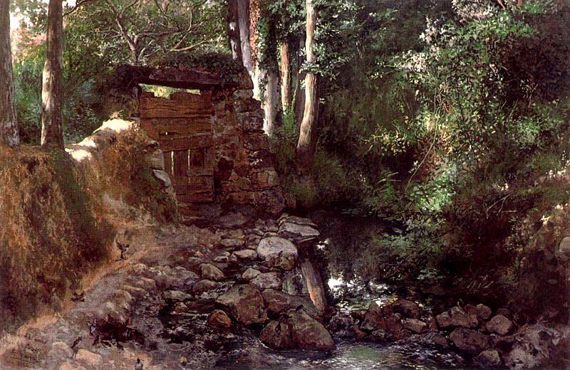 Birds Corner — José Jiménez Aranda