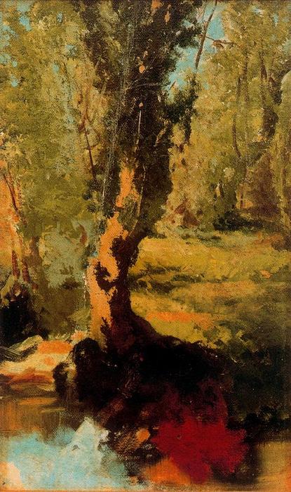 Braña 1 — Ovidio Murguía De Castro