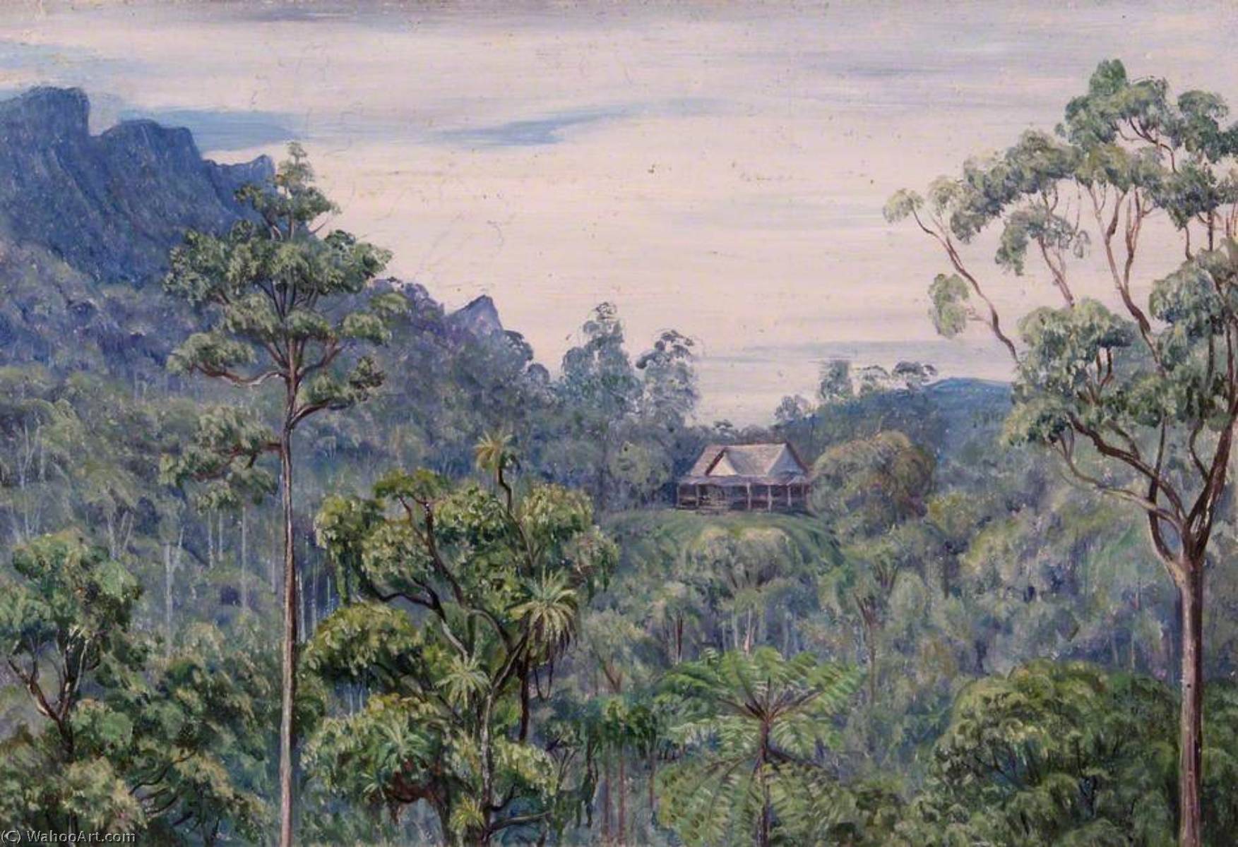 Tegoro, Sarawak — Marianne North