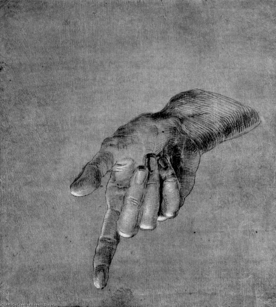 Right Hand Of An Apostle — Albrecht Dürer