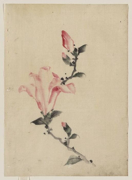 Large Pink Blossom On A Stem With Three Additional Buds — Katsushika Hokusai