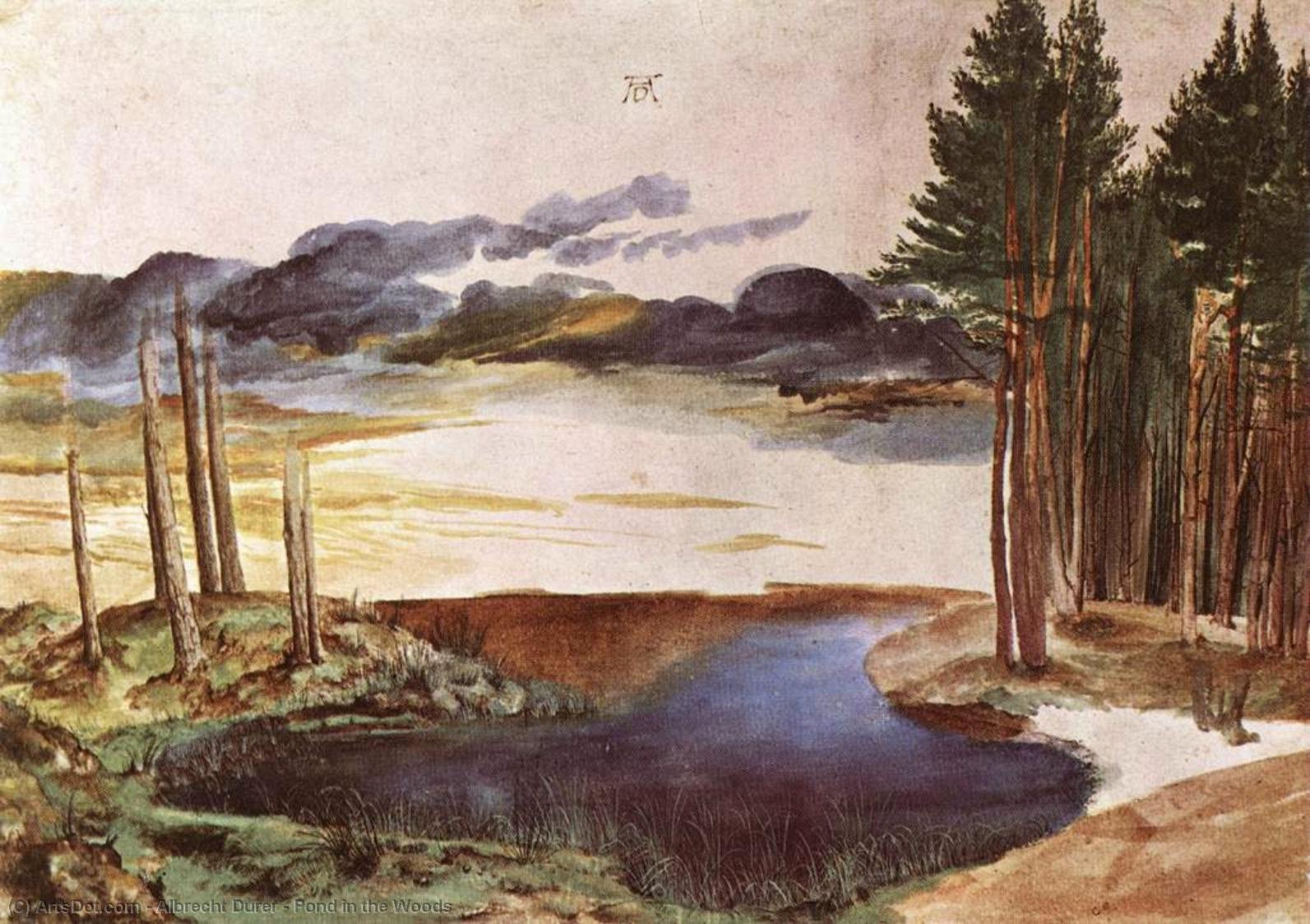 Pond In The Woods — Albrecht Dürer