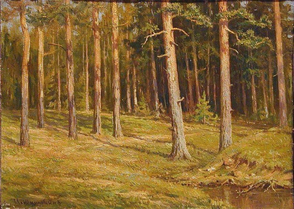 Pine Forest (9) — Ivan Ivanovich Shishkin