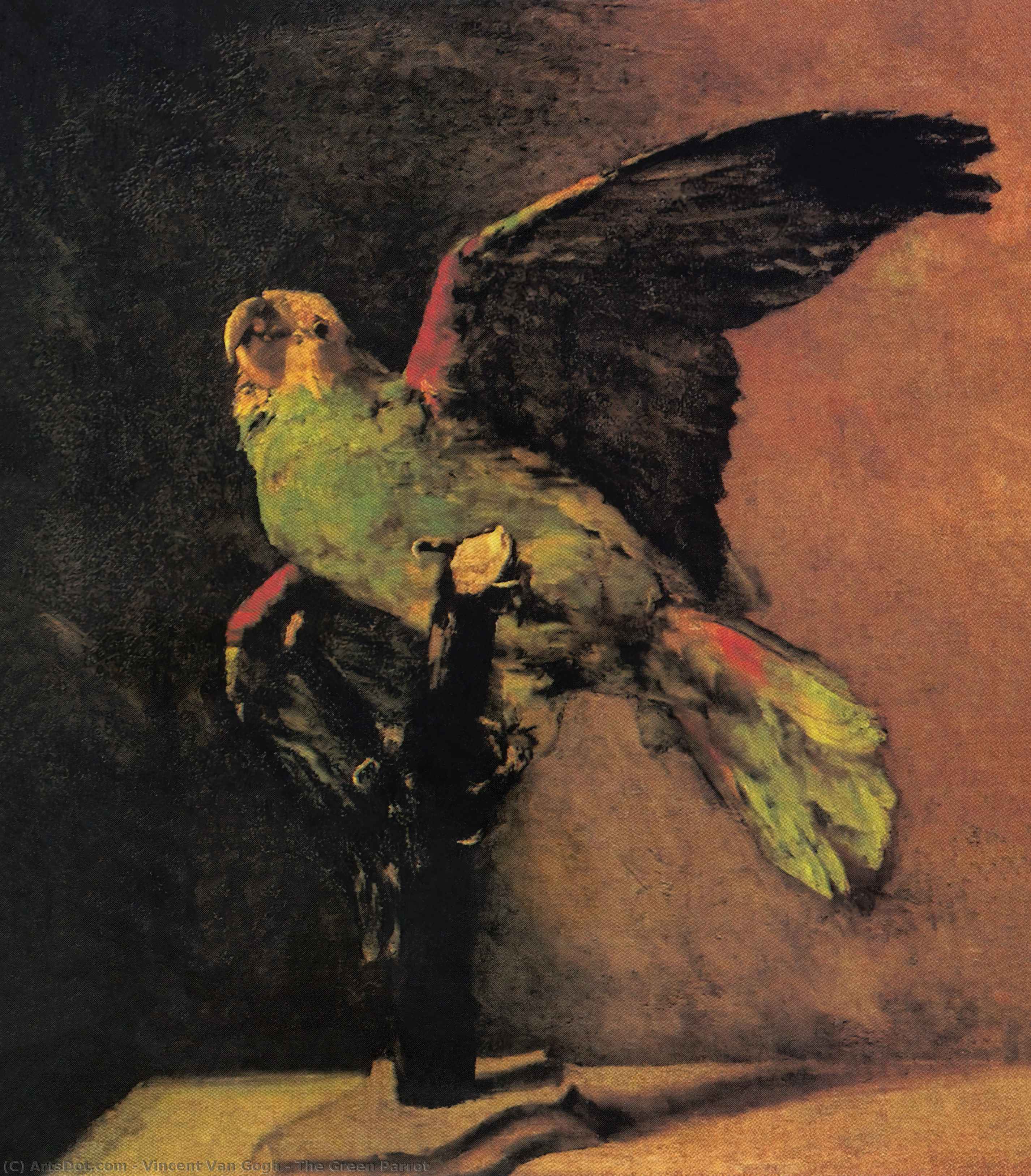 The Green Parrot — Vincent Willem Van Gogh