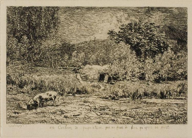 Pig In An Orchard — Charles-françois Daubigny