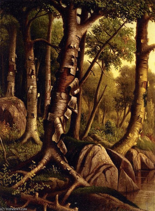 Birch Trees — Levi Wells Prentice