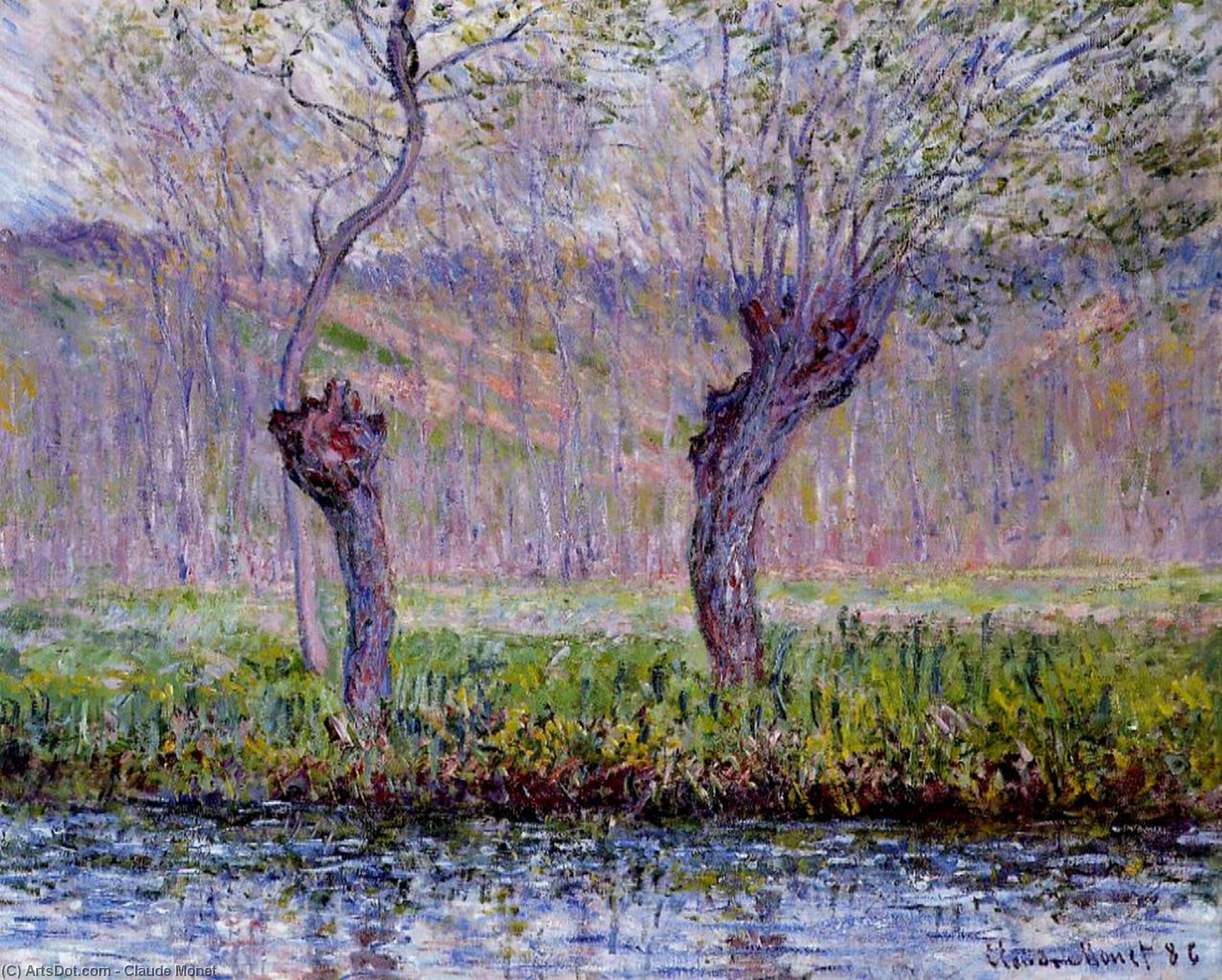 Weiden Im Frühlingslicht — Claude Monet