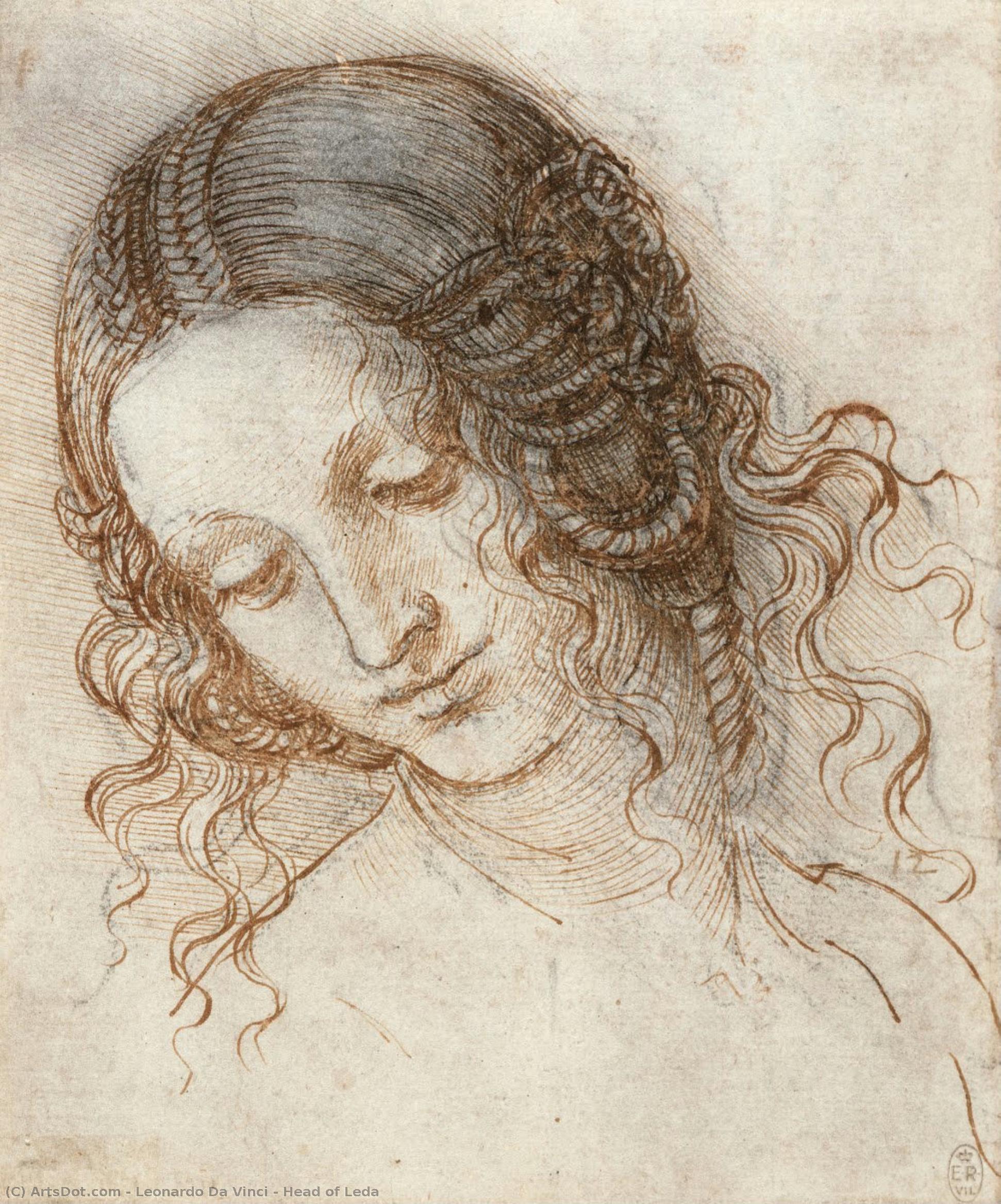 Head Of Leda — Leonardo Da Vinci