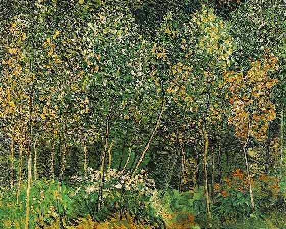 Grove, The — Vincent Willem Van Gogh